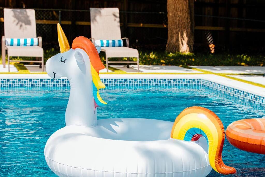 New Miami Home, Pool Near Airport And Beaches, King Bed מראה חיצוני תמונה